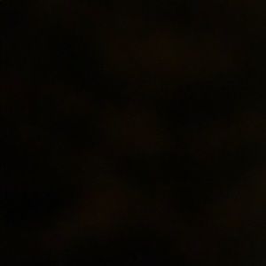 Meet your Posher, Deisy